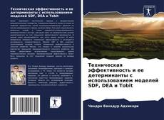 Borítókép a  Техническая эффективность и ее детерминанты с использованием моделей SDF, DEA и Tobit - hoz