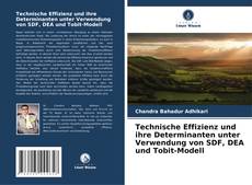Buchcover von Technische Effizienz und ihre Determinanten unter Verwendung von SDF, DEA und Tobit-Modell