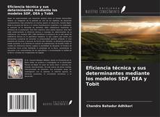 Portada del libro de Eficiencia técnica y sus determinantes mediante los modelos SDF, DEA y Tobit