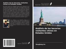 Análisis de los becarios visitantes chinos en Estados Unidos kitap kapağı