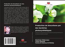 Capa do livro de Production de biocarbone par des bactéries photosynthétiques 