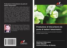 Buchcover von Produzione di biocarbonio da parte di batteri fotosintetici