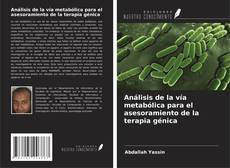 Bookcover of Análisis de la vía metabólica para el asesoramiento de la terapia génica