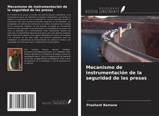 Bookcover of Mecanismo de instrumentación de la seguridad de las presas