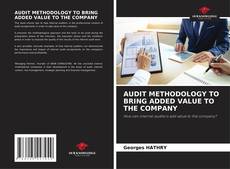 Copertina di AUDIT METHODOLOGY TO BRING ADDED VALUE TO THE COMPANY