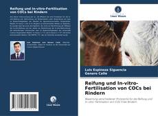 Capa do livro de Reifung und In-vitro-Fertilisation von COCs bei Rindern 