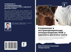 Обложка Созревание и экстракорпоральное оплодотворение КОК у крупного рогатого скота