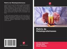 Buchcover von Matriz de Metaloproteinases