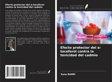 Bookcover of Efecto protector del α-tocoferol contra la toxicidad del cadmio