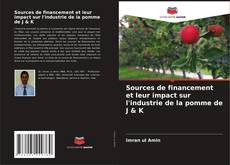 Sources de financement et leur impact sur l'industrie de la pomme de J & K kitap kapağı