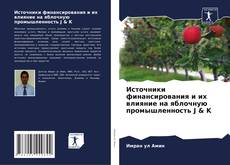 Portada del libro de Источники финансирования и их влияние на яблочную промышленность J & K