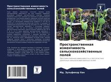 Couverture de Пространственная изменчивость сельскохозяйственных полей