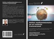 Capa do livro de Delitos medioambientales en un contexto transnacional 