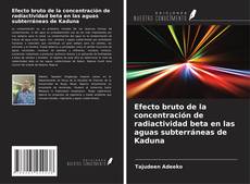 Обложка Efecto bruto de la concentración de radiactividad beta en las aguas subterráneas de Kaduna