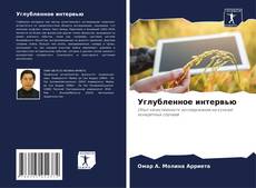 Bookcover of Углубленное интервью