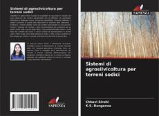 Sistemi di agrosilvicoltura per terreni sodici kitap kapağı