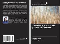 Sistemas agrosilvícolas para suelos sódicos kitap kapağı