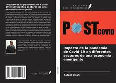 Bookcover of Impacto de la pandemia de Covid-19 en diferentes sectores de una economía emergente
