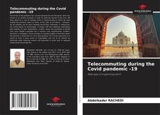 Capa do livro de Telecommuting during the Covid pandemic -19 