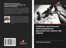 Bookcover of Problemi socio-tecnici nell'occupazione giovanile nel settore del mobile