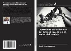 Bookcover of Cuestiones sociotécnicas del empleo juvenil en el sector del mueble