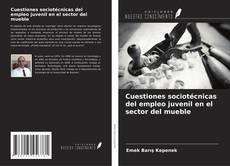 Обложка Cuestiones sociotécnicas del empleo juvenil en el sector del mueble