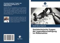 Bookcover of Soziotechnische Fragen der Jugendbeschäftigung im Möbelsektor