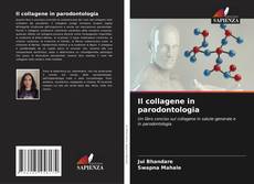 Buchcover von Il collagene in parodontologia
