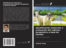 Bookcover of Identificación molecular y evaluación del régimen terapéutico a base de hierbas