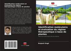 Capa do livro de Identification moléculaire et évaluation du régime thérapeutique à base de plantes 