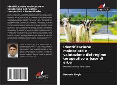 Buchcover von Identificazione molecolare e valutazione del regime terapeutico a base di erbe
