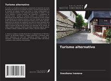 Bookcover of Turismo alternativo
