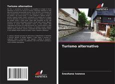 Bookcover of Turismo alternativo