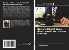 Bookcover of Derecho laboral para el desarrollo de los recursos humanos