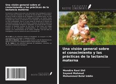 Copertina di Una visión general sobre el conocimiento y las prácticas de la lactancia materna