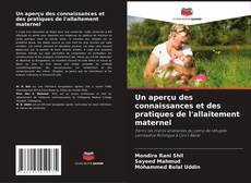 Bookcover of Un aperçu des connaissances et des pratiques de l'allaitement maternel