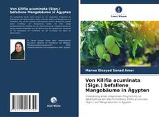 Portada del libro de Von Kilifia acuminata (Sign.) befallene Mangobäume in Ägypten