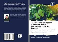 Buchcover von Заражение манговых деревьев Kilifia acuminata (Sign.) в Египте