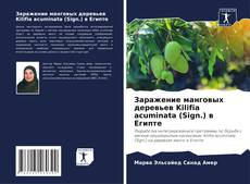 Borítókép a  Заражение манговых деревьев Kilifia acuminata (Sign.) в Египте - hoz