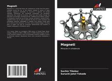 Capa do livro de Magneti 