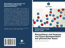 Capa do livro de Biosynthese und Analyse von Eisen-Nanopartikeln auf pflanzlicher Basis 