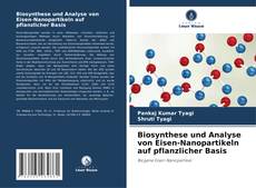 Buchcover von Biosynthese und Analyse von Eisen-Nanopartikeln auf pflanzlicher Basis