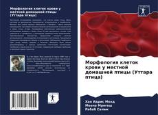 Buchcover von Морфология клеток крови у местной домашней птицы (Уттара птица)