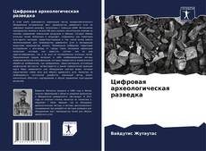 Borítókép a  Цифровая археологическая разведка - hoz
