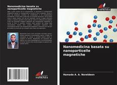 Portada del libro de Nanomedicina basata su nanoparticelle magnetiche