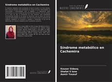 Couverture de Síndrome metabólico en Cachemira