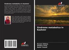Portada del libro de Sindrome metabolica in Kashmir