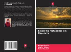 Bookcover of Síndrome metabólico em Caxemira