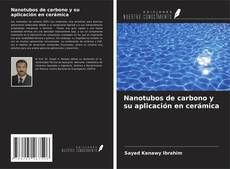 Bookcover of Nanotubos de carbono y su aplicación en cerámica