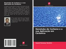 Bookcover of Nanotubo de Carbono e a sua Aplicação em Cerâmica